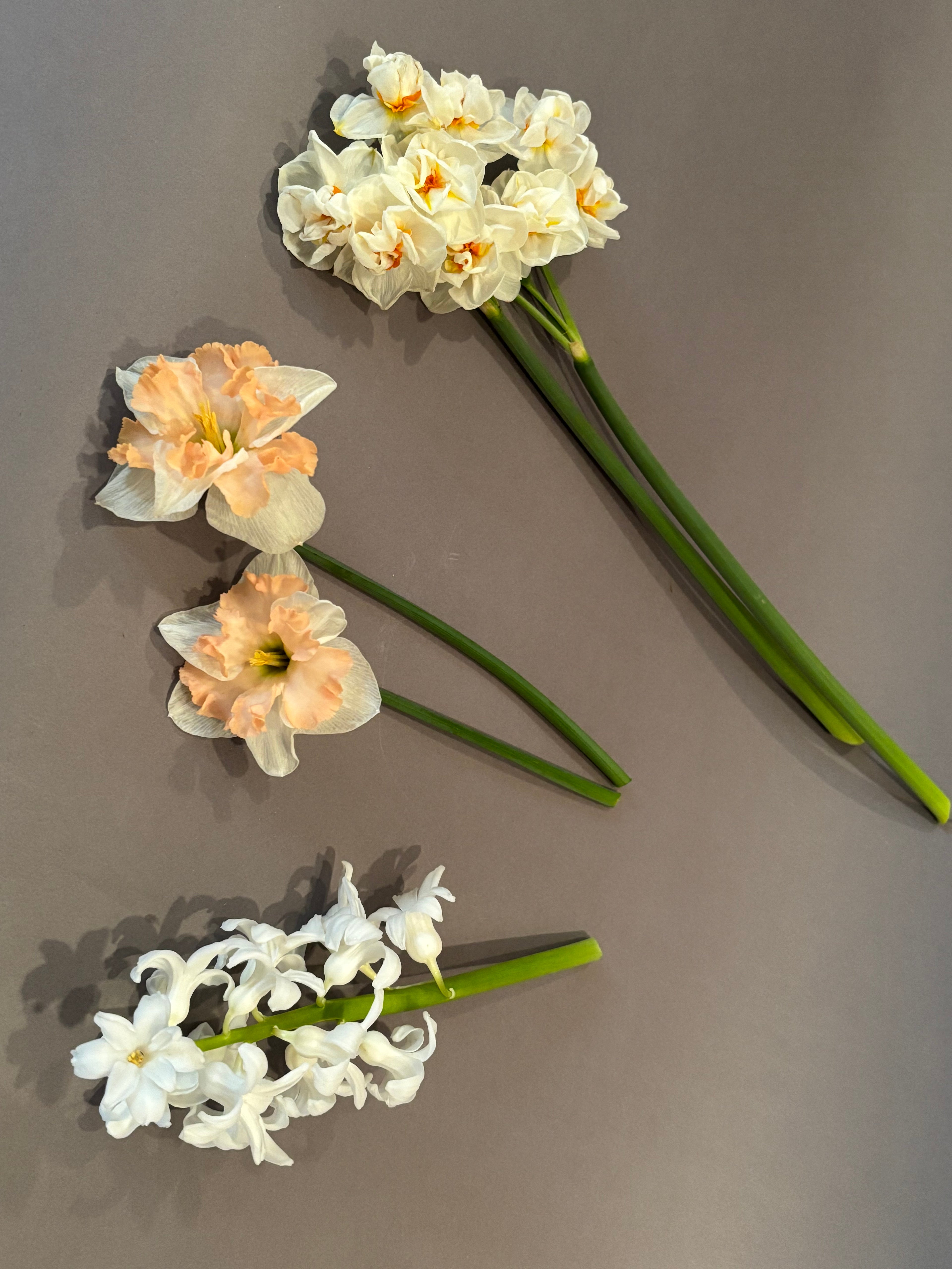 Heirloom Narcissus
