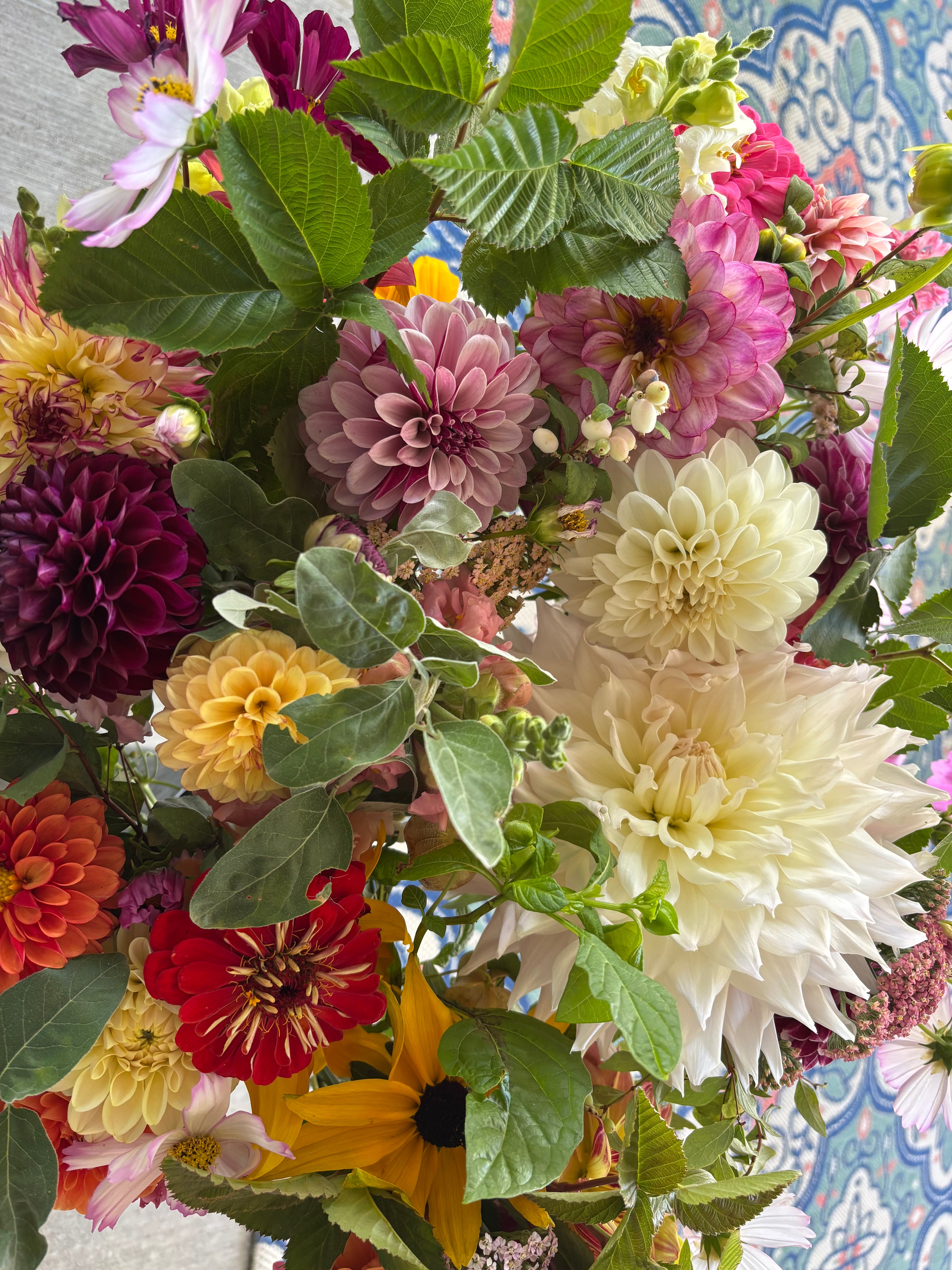 4 Week Dahlia CSA - Bouquet Subscription
